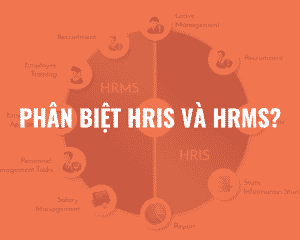 Phân biệt HRIS và HRMS? Sự khác nhau cơ bản